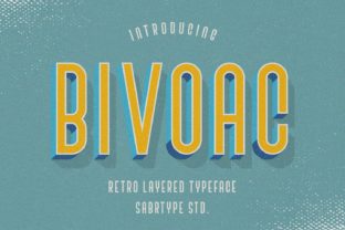 Bivoac: The Font That Elevates Your Digital Brand