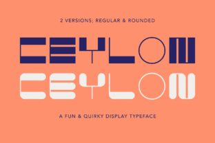 Ceylon: A Font That Elevates Your Brand