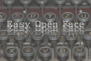 Easy Open Face: A Bold Serif for Branding