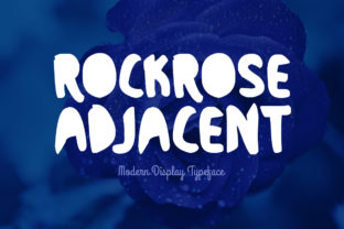 Rockrose Adjacent: A Font That Elevates Web Design