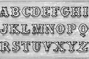 Tagwood: A Versatile Display Font for Campaign Creativity