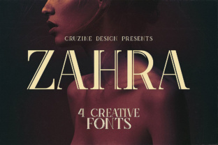 Zahra: A Versatile Display Font for Dynamic Campaigns